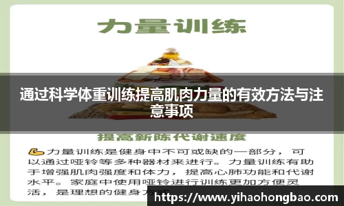通过科学体重训练提高肌肉力量的有效方法与注意事项